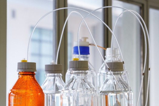 HPLC – Cuidados com a fase móvel